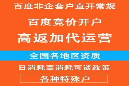 百度SEO推广策略深度解读：某企业网络营销的胜利之路